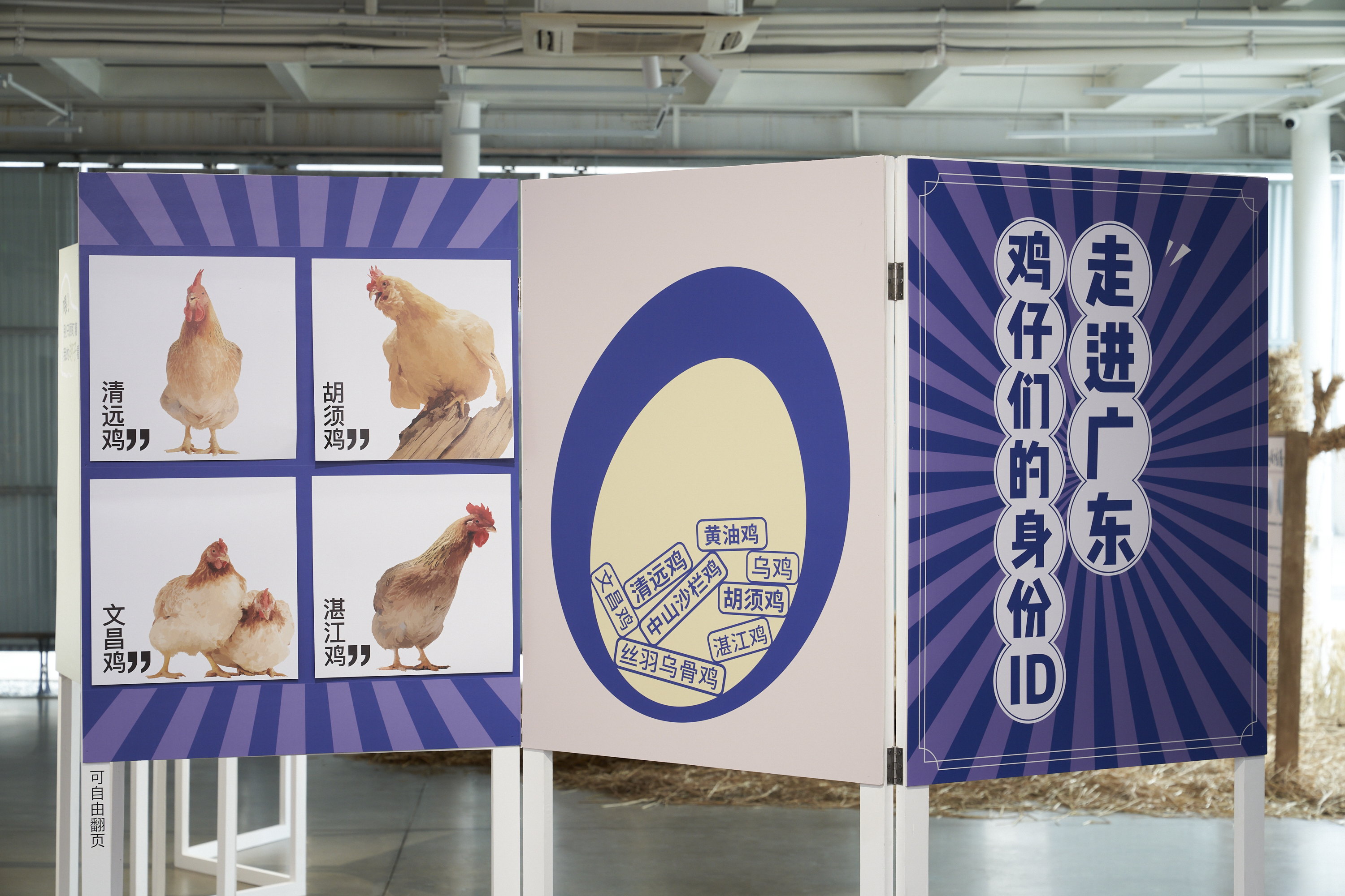 展览现场